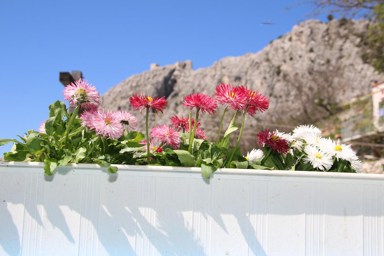Milina * Omiš